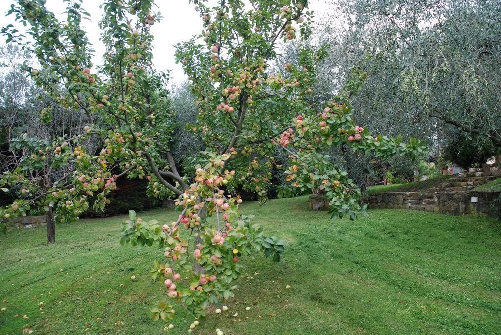 Podere Le Buche Pelago Εξωτερικό φωτογραφία